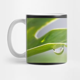 Rain Drops Mug